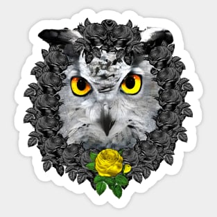 Owl Yellow Rose Wreath Sticker